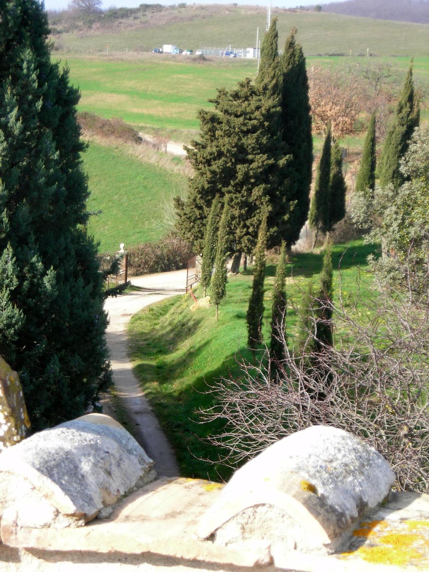 Agriturismo Il Cocco Montalcino Exterior foto