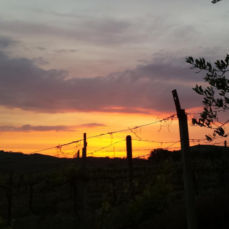 Agriturismo Il Cocco Montalcino Exterior foto