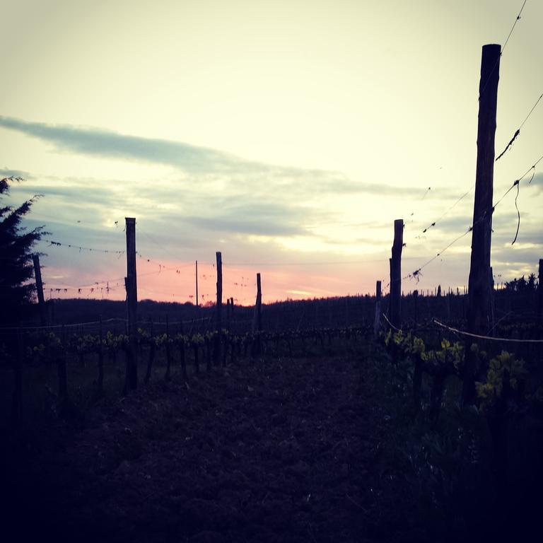 Agriturismo Il Cocco Montalcino Exterior foto