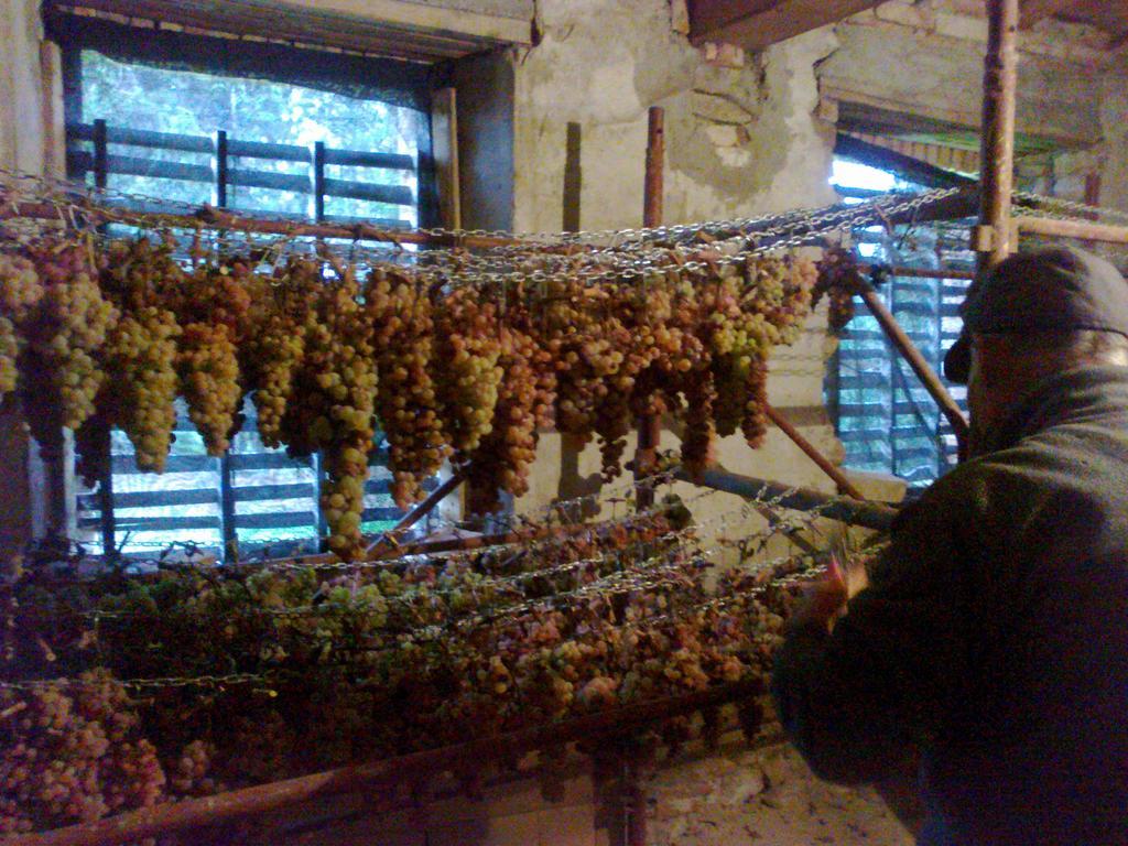 Agriturismo Il Cocco Montalcino Exterior foto
