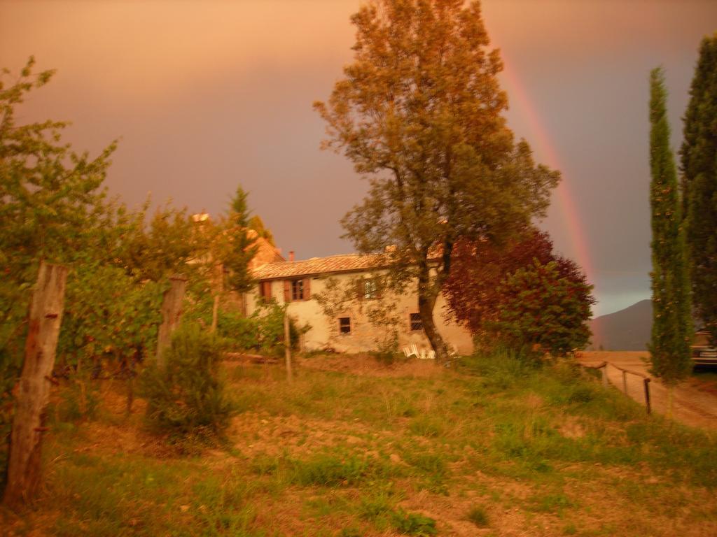 Agriturismo Il Cocco Montalcino Exterior foto