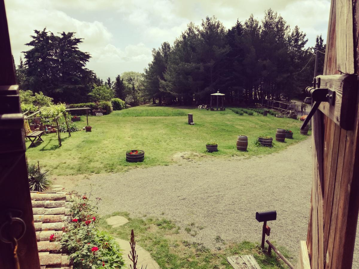 Agriturismo Il Cocco Montalcino Exterior foto
