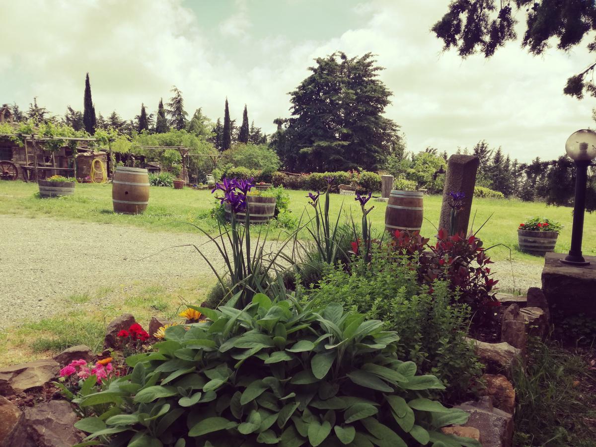 Agriturismo Il Cocco Montalcino Exterior foto